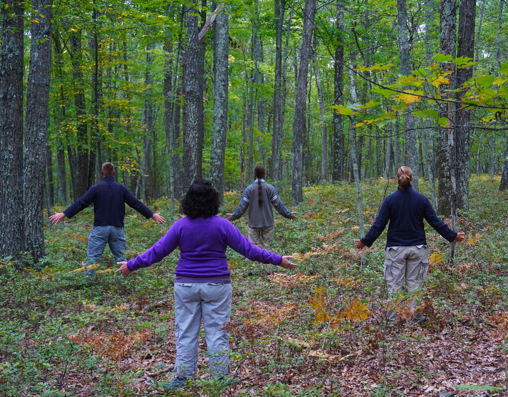 meditate in the woods