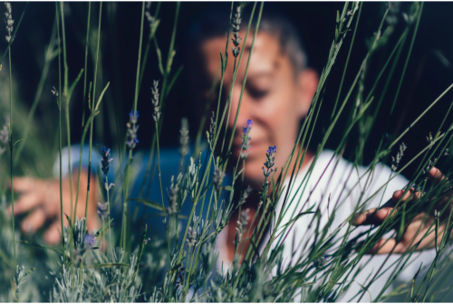 through the grasses